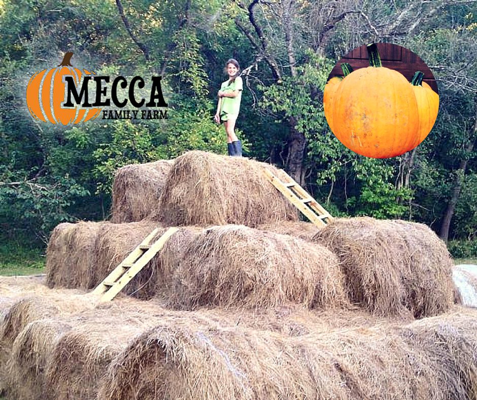 MECCA-Family-Farm-Lake-Of-The_Ozarks